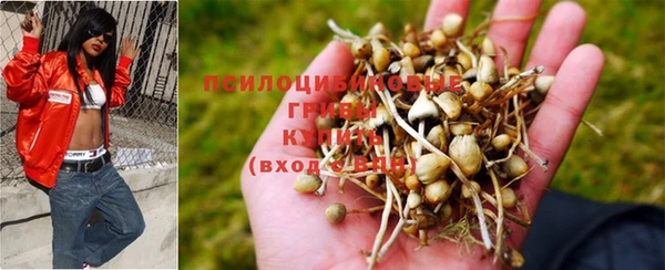 мяу мяу кристалл Баксан