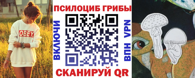 Псилоцибиновые грибы MAGIC MUSHROOMS Купить Катав-Ивановск